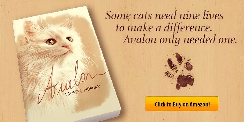 book with cat name