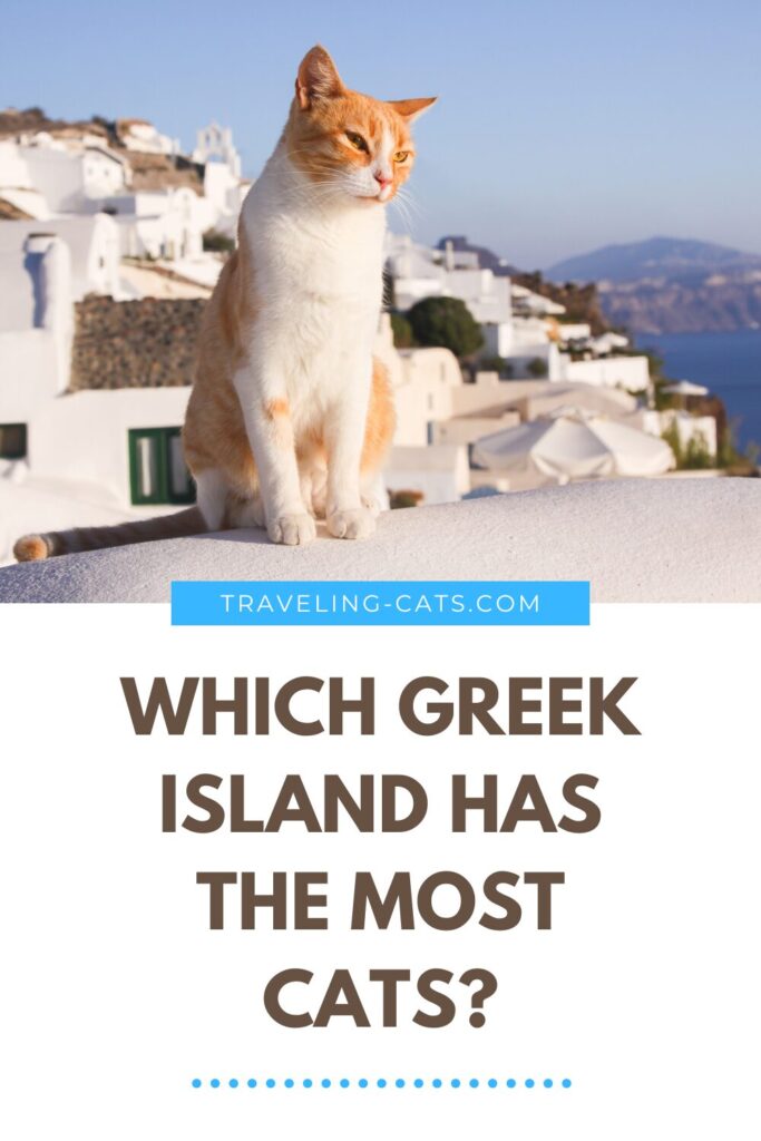 Greek island cats
