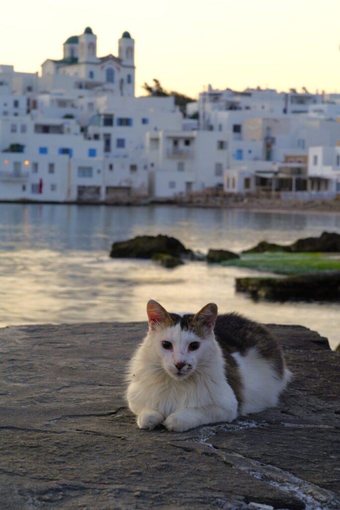 Naoussa Paros