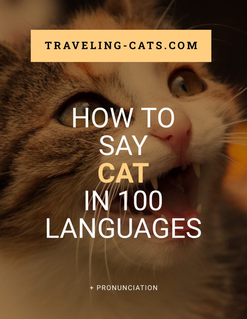 How to say Cat in 100 different languages