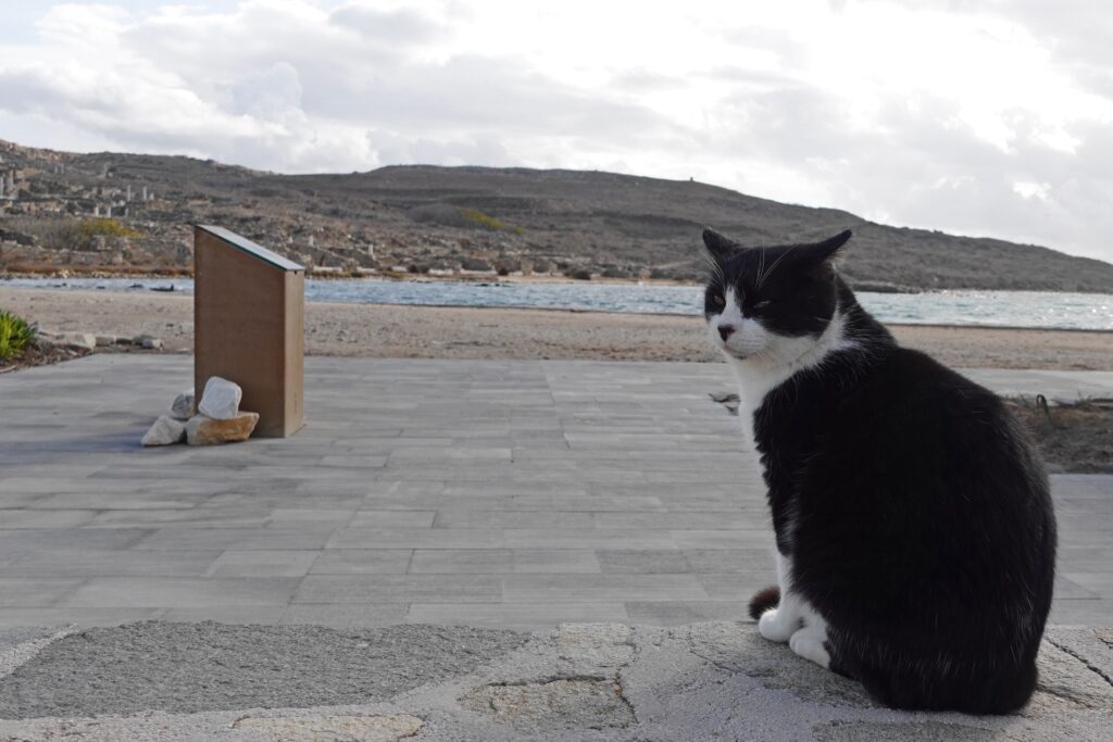 Delos island