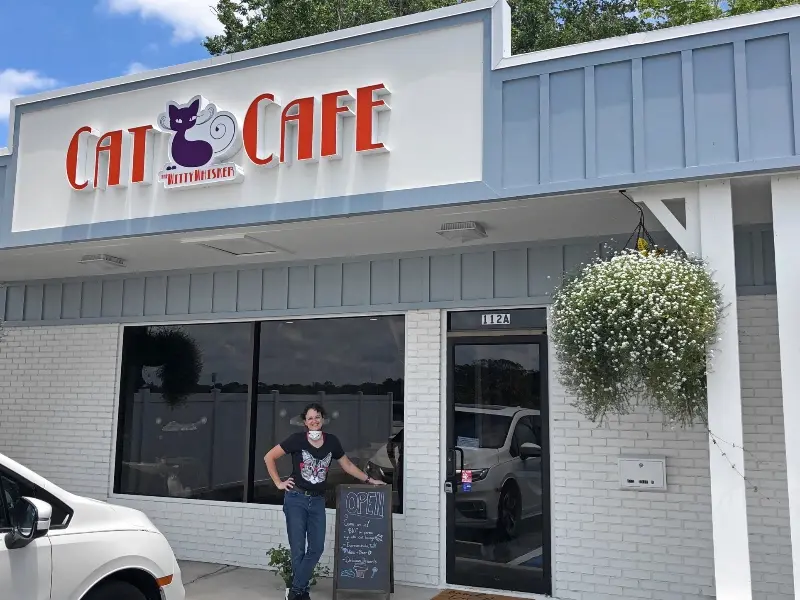Como abrir seu próprio café gato