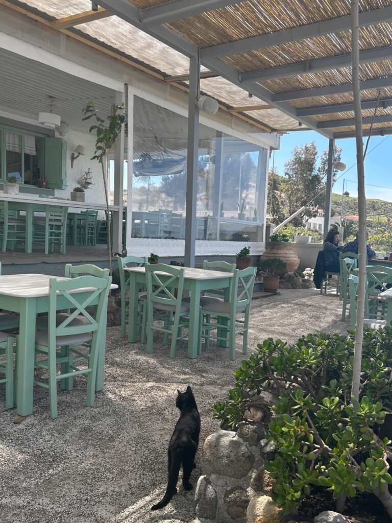 Avlaki Beach Petra